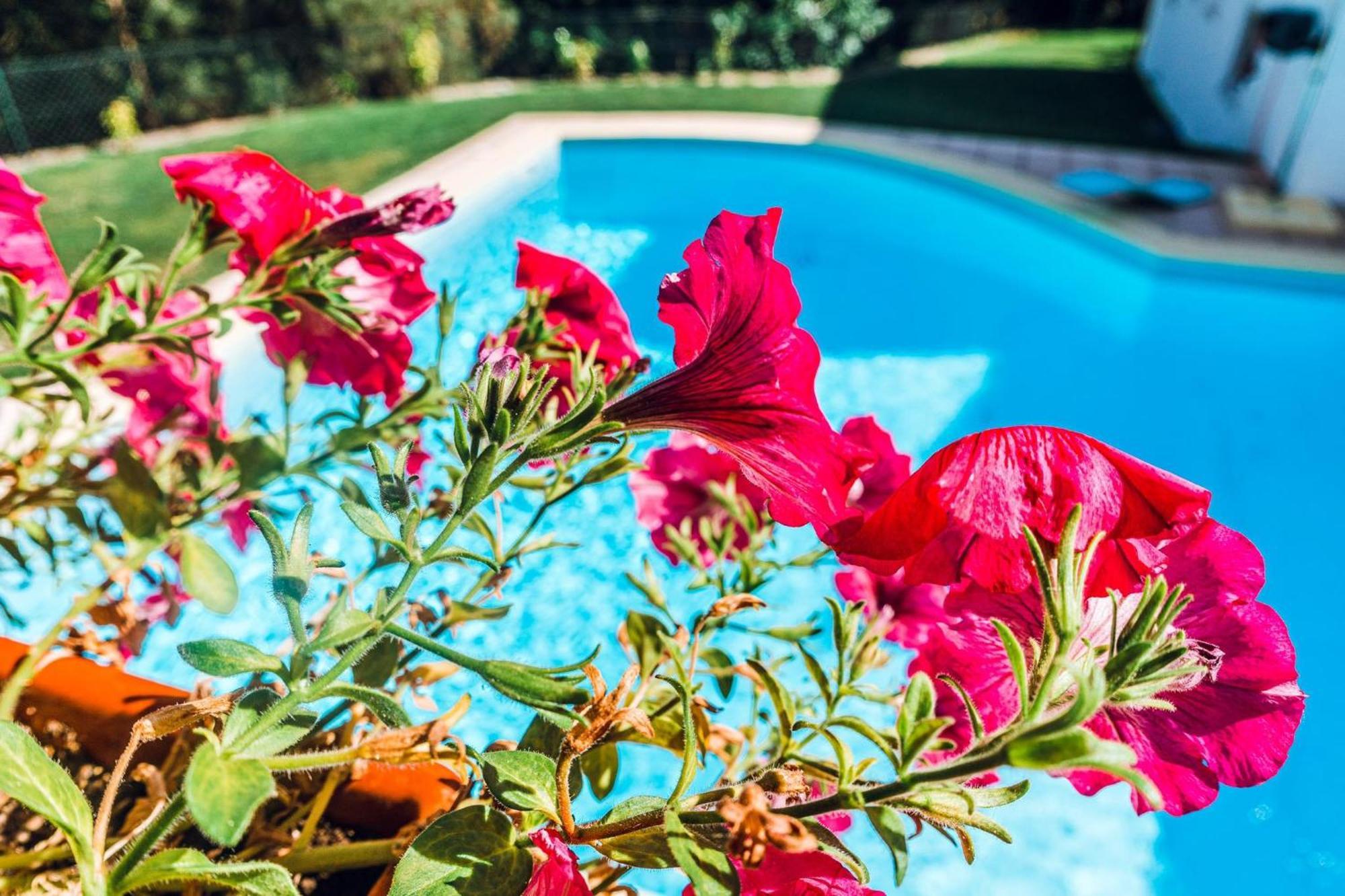 Estalagem Bela Vista Bed & Breakfast Mondim de Basto Luaran gambar